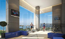 the-vision photo thumbnail #12